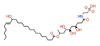 Carteriosulfonic acid C